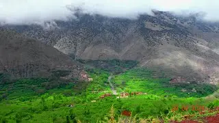 طريق ويركان تيزي اوسم 2024