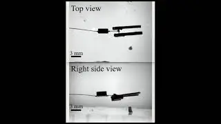 Cable-less, Magnetically-Driven Forceps for Minimally Invasive Surgery