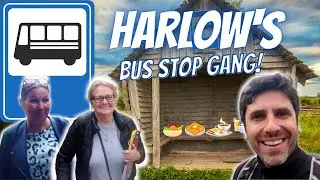 Meet Harlow's Breakfast Bus Stop Gang! Harlow, Essex, England.