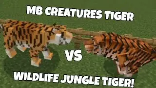 MB CREATURES TIGER VS WILDLIFE JUNGLE TIGER (Minecraft Mob Battle)