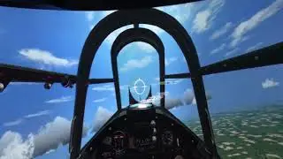 Wings over the Reich