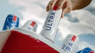 Michelob - Function Assist