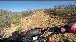 CRF250 Black Diamond Hill Climb - Cow Mountain OHV