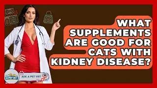 What Supplements Are Good For Cats With Kidney Disease? - Ask A Pet Vet