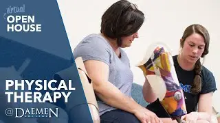 Physical Therapy Program Overview | Daemen College