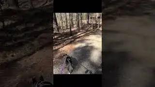 Country Walk, Virginia | Tae's Travels #shorts