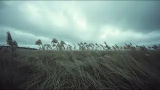 After the Wind &ndash; Instrumental Music | Neutral Tone