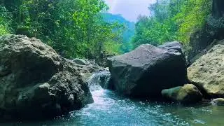 Peaceful River Flow  for Sleeping | Relaxing Nature Sounds White Noise for Sleep, Focus & Meditation