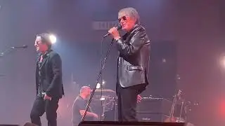 Les playboys concert Dutronc et Dutronc à Lille