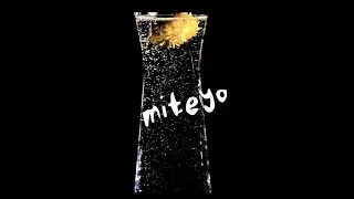 『miteyo』・  Am Amp  [MUSIC VIDEO]