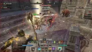 2v4v4