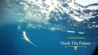 Hook The Future- swordfish