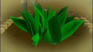 A Bountiful Summer Harvest | UIM #4