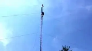 Diver jumps from 80 feet into a 9 foot pool