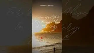 Gratitude Affirmations ✨✨ #gratitudeaffirmations #louisehayaffirmations #shorts #begrateful #loa
