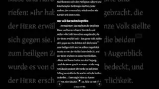 Die Bibel - 4. Mose 17
