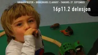 Meld deg p&aring; kurs om 16p11.2 delesjon - Frambu kompetansesenter for sjeldne diagnoser