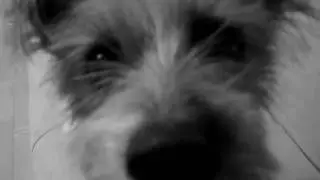 Lucy