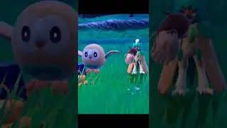 Rowlet 💚 | Pokemon Scarlet and Violet