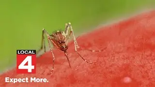 How to avoid being a mosquito magnet in Detroit