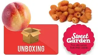 Sweet Garden - Unboxing pomi si arbusti