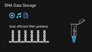 Batch Optimization for DNA Synthesis