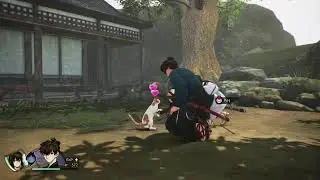 Fate/Samurai Remnant