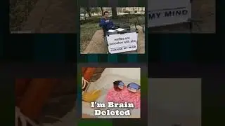 The Brain got deleted  #memehub #funnymemes #daliymemes #funny #jokesmemes #amazingmemes #meme #lmao