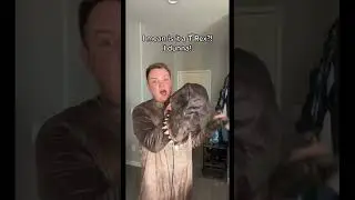 T-Rex Costume!