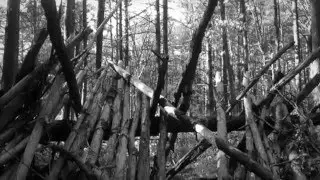 Spanish Horror Movie Trailer Project