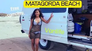 The Ultimate Vanlife Adventure  Beach, Dogs & Local Delicacies in Texas