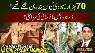 Did Hazrat Dawood's People Turn into MONKEYS? | WAS Hazrat Dawood's Nation CURSED to Become MONKEYS?