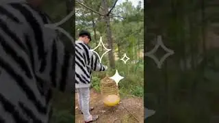 Release birds