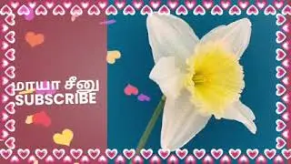கதிரின் திறமையை அறிந்து வேலை போட்டு கொடுத்த ரகுராம்/சந்தியா ராகம் 14 ஜனவரி 2026