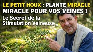 Vous Ne Croirez Pas Ce Que Le Petit Houx Peut Faire !