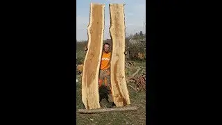 Chêne scié en plot à la MS660 et scierie Panther Mill