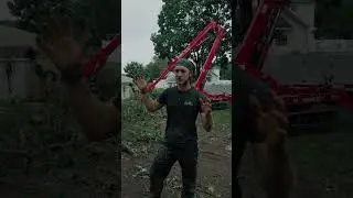 NJ Tree service