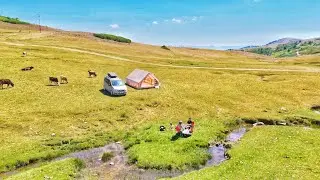 YAYLADA MENDERESLERİN KENARINDA KAMP / TAVUK TANTUNİ YAPTIK