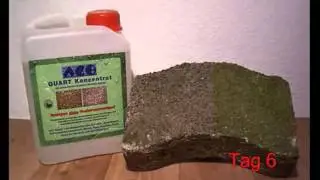 AGO Quart BIO-Moosentferner.ch