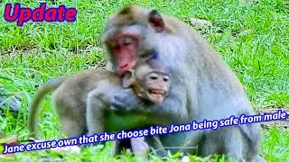 JANE MONKEY FAMILY UPDATE #DSCN0452