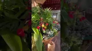 Cen&aacute;rio de bolo e doces para festa adulta #valmirpaesdesignfloral #flowers #arranjofloral #festa