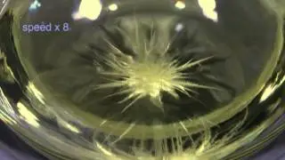 Crystallisation of Monoclinic Sulfur from Solution