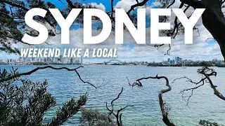 Go on this FREE Sydney Walking Tour to Catch the Best Parts of The City!