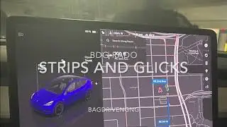 BDG Rado - Strips and Glicks