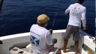 Operation Sailfish 2015