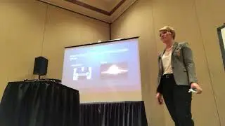 Hooligan Consulting- PMINAC presentation