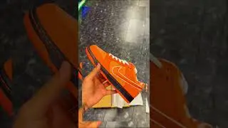 Nike dunk sb orange lobster 🍊🦞