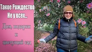 Vlog 604 - Моё Рождество 🎁 Уютный дом, подарки и прогулка по цветущему саду