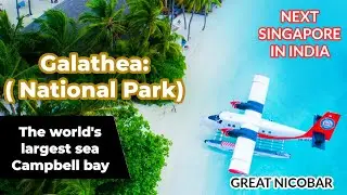 Galathea: The world's largest sea Campbell bay.( National Park) #singapore #green #city #2025