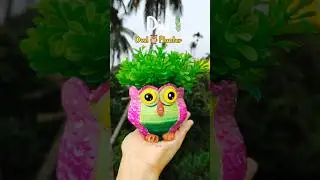 DIY Owl planter🦉🪴#shorts #diy #craft #art #owlcraft #artwork #artandcraft #artist #plants #acrylic